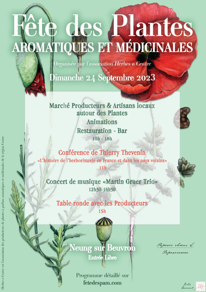 Illustration coquelicot